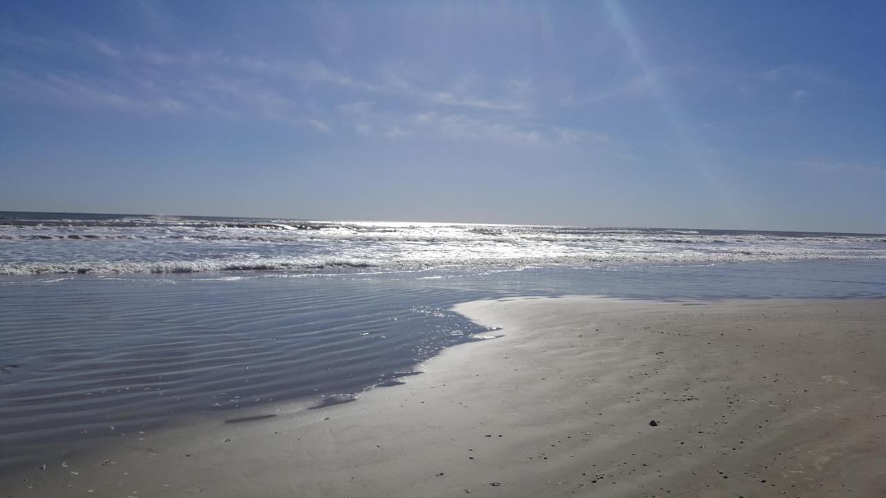 גלווסטון Private Beach -- Away From The Crowds - Ocean Views -Short Drive To Moody Gardens, Schlitter Bahn, Pleasure Pier מראה חיצוני תמונה